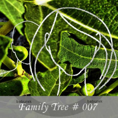 Family Tree #7