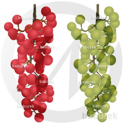 Grapes - red and green