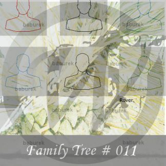 Family Tree #11