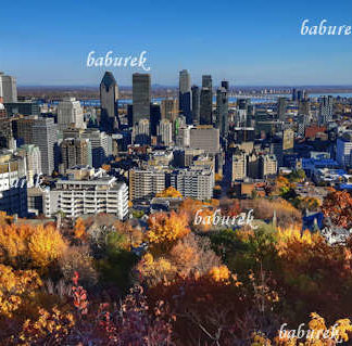Autumn in Montreal