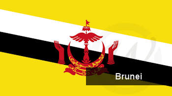 National flag of Brunei