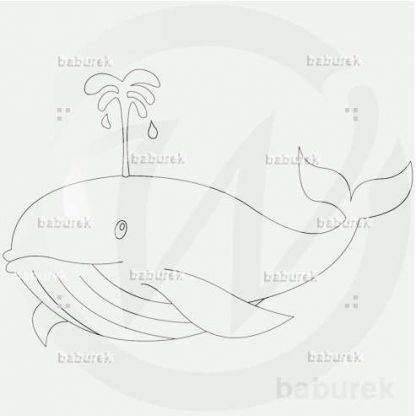 Whale drawing