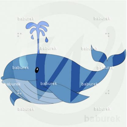 Whale drawing