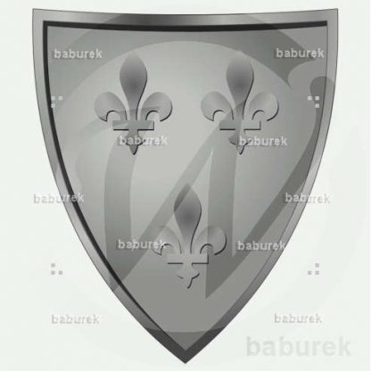 Armor Shield Fleur de Lys