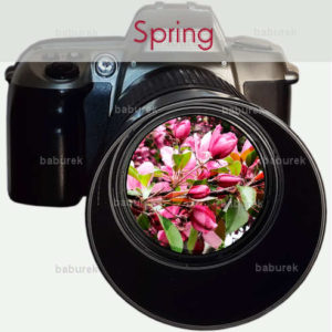 Photography - Spring