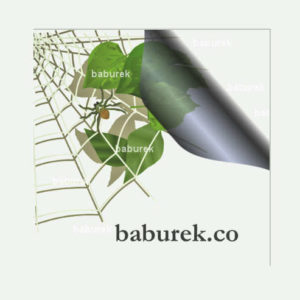 Baburek on the World Wide Web